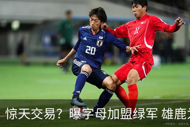 惊天交易？曝字母加盟绿军 雄鹿为布朗寻找第三方